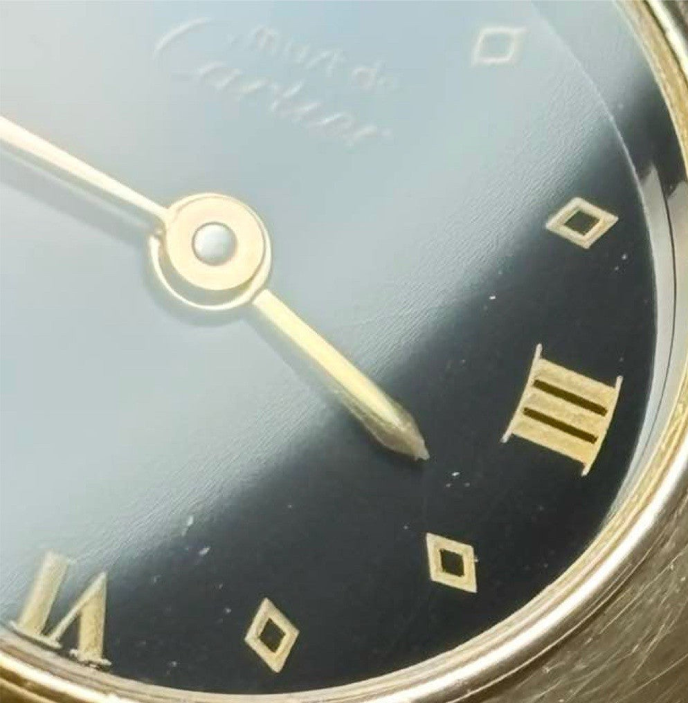 7981954