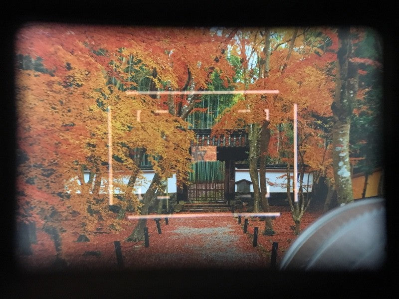 Cla'd MINT+++ Leica M6 Non-TTL 0.72 Film Camera Summicron 50mm f2 4th Lens JAPAN