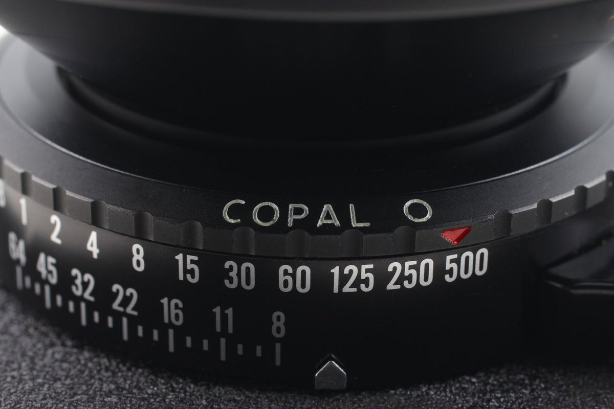 Shutter CLA [MINT] Nikon Nikkor SW 120mm f/8 Copal 0 Large Format Lens JAPAN