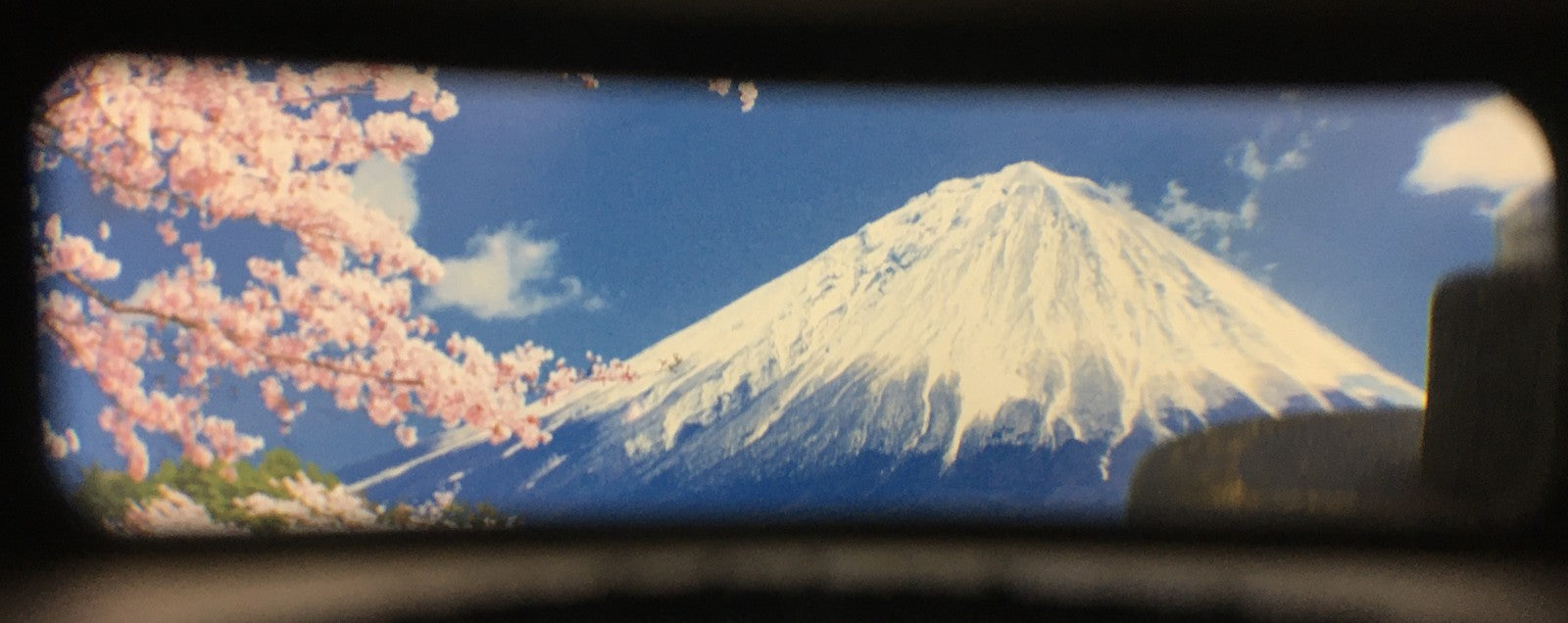 [MINT w/Case] Panon WIDELUX F6B 35mm Panoramic Film Camera 140° From JAPAN