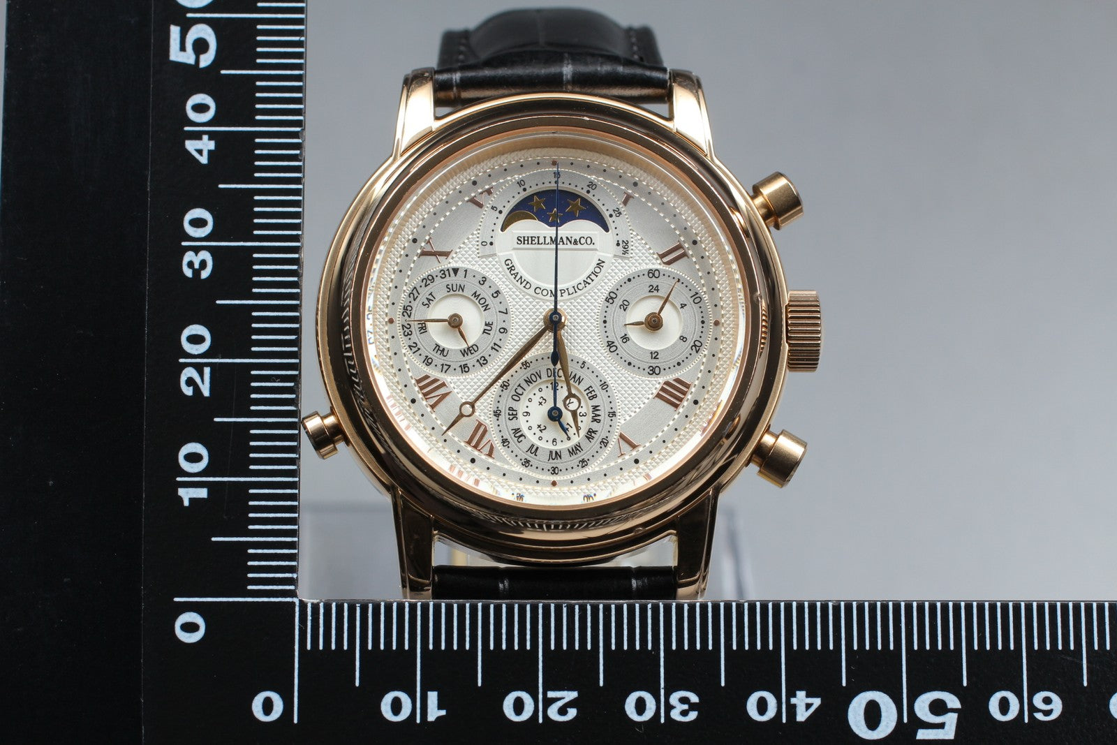[Exc+5] SHELLMAN Grand Complication Premium 6771-T011179 TA Qz Watch From JAPAN