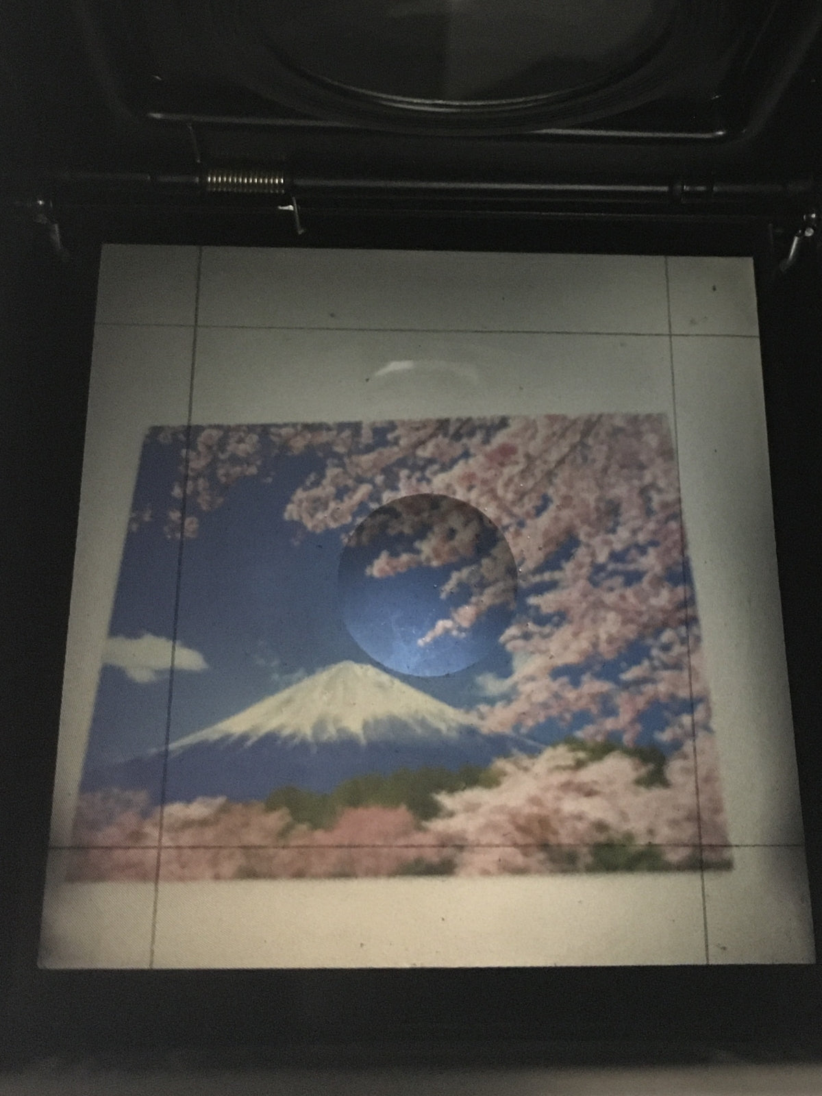 7551646