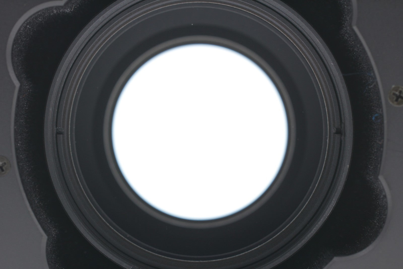 [Top MINT w/Hood] Zenza Bronica Zenzanon PG 200mm f4.5 Lens For GS-1 From JAPAN
