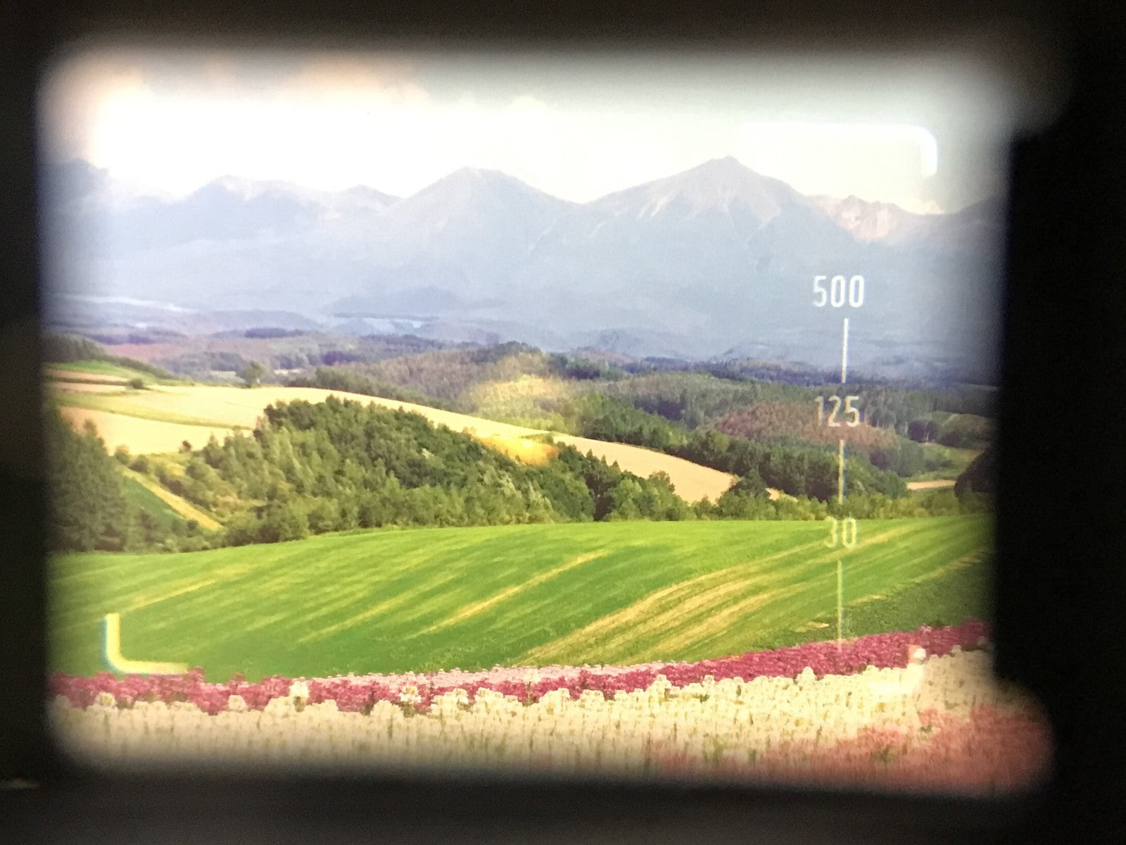 [Top MINT] Contax T Silver 35mm Film Camera Carl Zeiss T* + T14 Flash From JAPAN