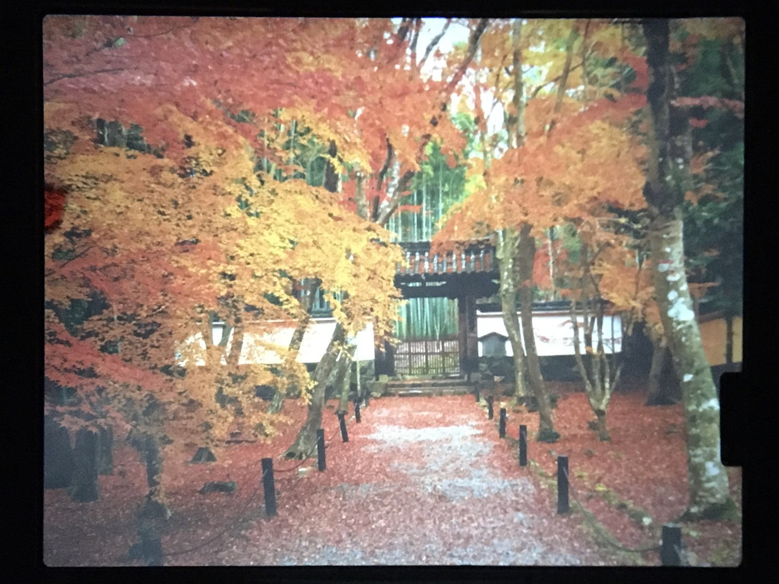 [N MINT+++] Zenza Bronica ETR Si Film Camera 75mm F2.8 PE Lens AE-III From JAPAN