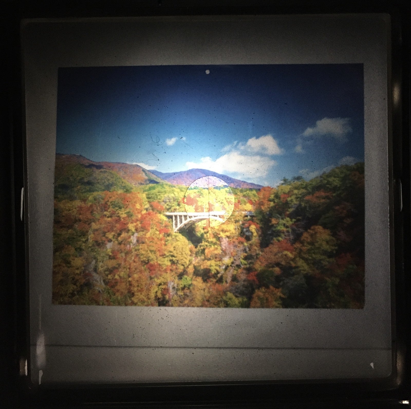 [N MINT-] Late Model Hasselblad 500CM C/M Film Camera + 80mm f2.8 C Lens JAPAN