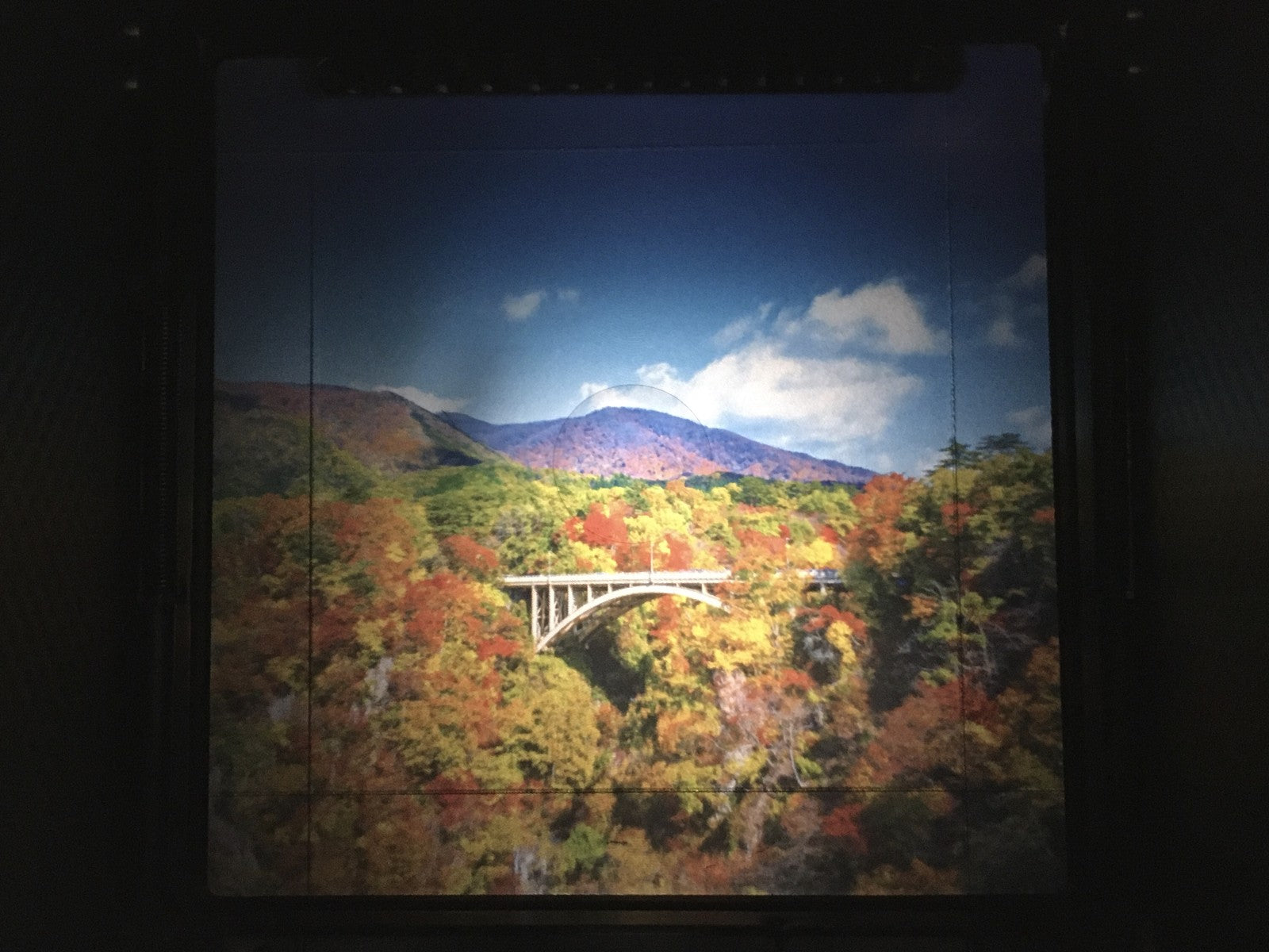 [MINT] Zenza Bronica EC-TL Film Camera Nikkor P.C 75mm f2.8 Lens 6x6 From JAPAN