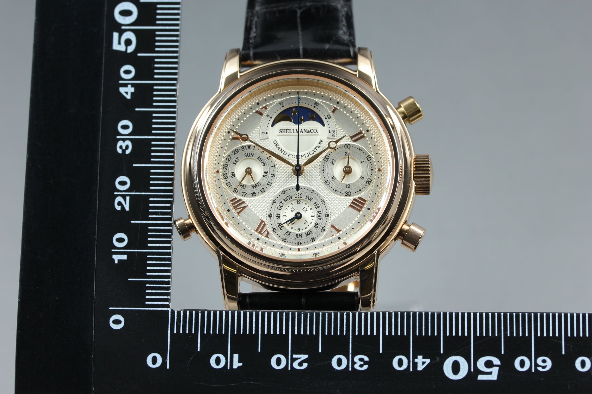 SHELLMAN Grand Complication Premium 6771-T011179TA Men's Qz Watch JAPAN [Box]